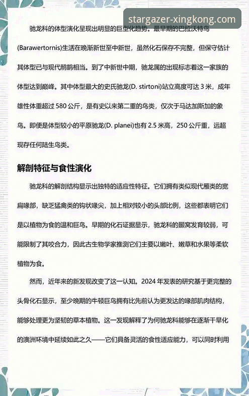 从巅峰到审判：解码恒大足球兴衰的3个关键视角