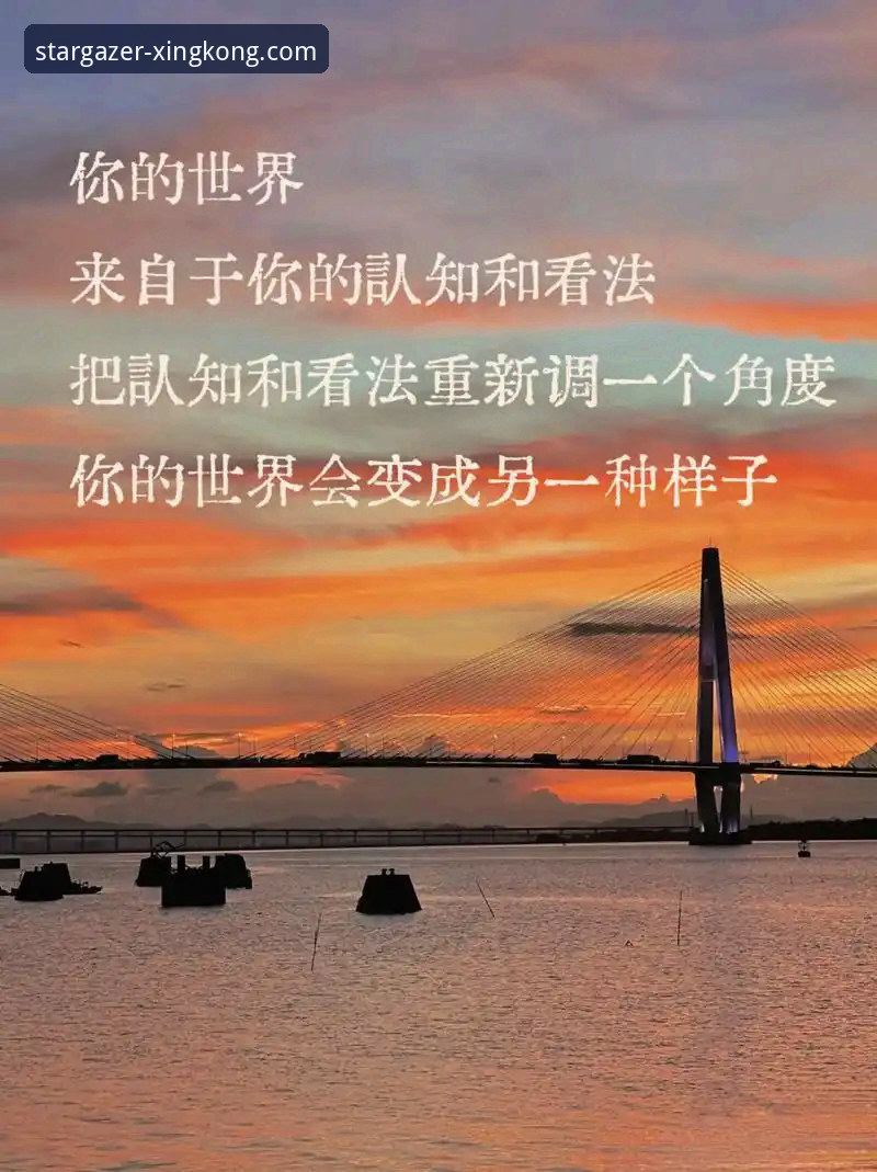 星空APP功能介绍评测 星空APP功能评测:7大核心亮点让你重新认识娱乐平台